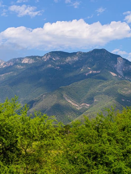 Vistas a la montaña desde Tres Aguas Oaxaca