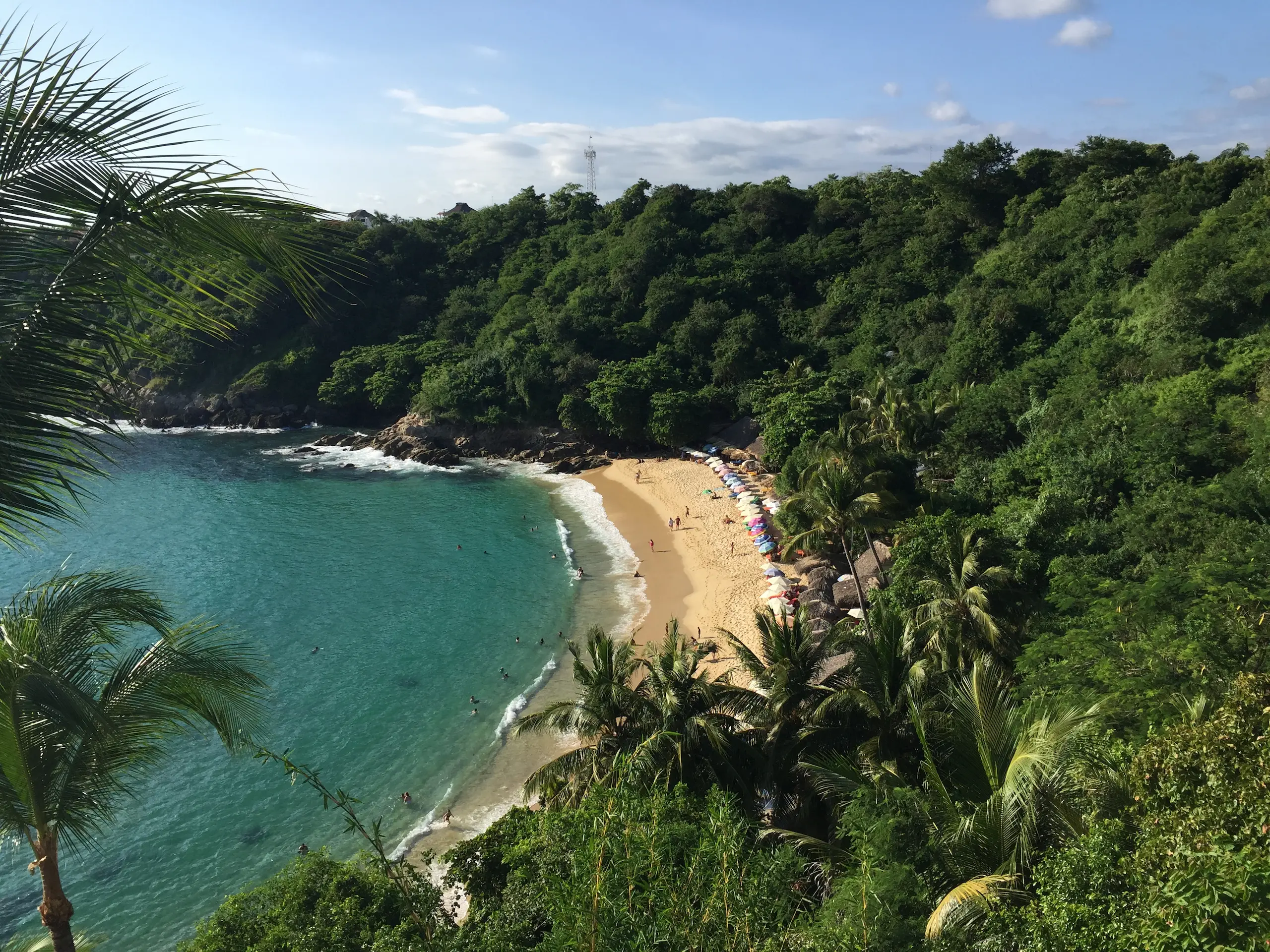 Playa Carrizalillo en Puerto Escondido vista desde lo alto en un día soleado, con agua turquesa, arena clara y selva verde alrededor